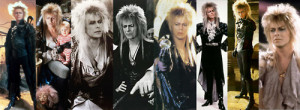 the novelizations references to jareth s fear of aging jareth ...