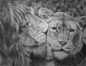 Lions In Love Lion love by martenator