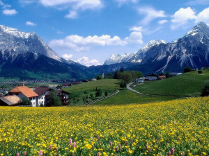 This Wallpaper Resolution