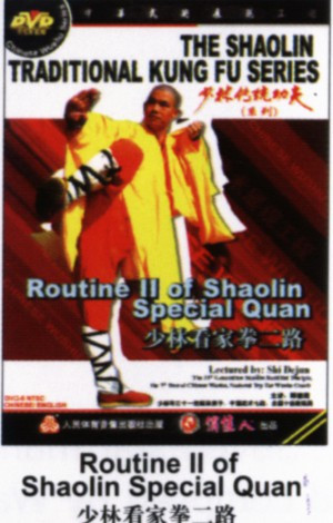 Routine II of Shaolin Special Quan (DW110-08)