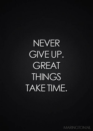Quote: NEVER GIVE UP GREAT THINGS TAKE TIME