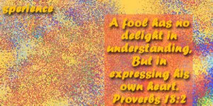 fool has no delight in understanding, But in expressing his own ...