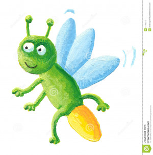 ... firefly illustration expression lightning bug insect pest animal