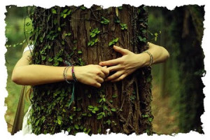 Abrazar árboles para sanarnos