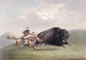 An Indian Buffalo Hunt for Yellowstone