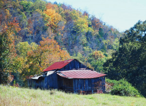 The Smokies Fantastic Fall