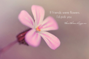 Beautiful_cute_flower_flowers_macro_nature ...