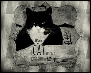 CatVidFest 2014 with Lil BUB + More!