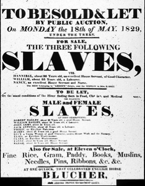 Quotes from Former Slaves