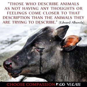 Pinned by Jennifer McBeth