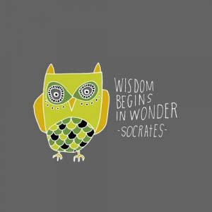 wisdom begins in wonder Socrates