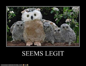 By Admin on June 18, 2012 Featured , Funny Pictures , WTF Pictures