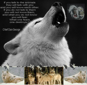 Native American Indians And Wolves Pictures