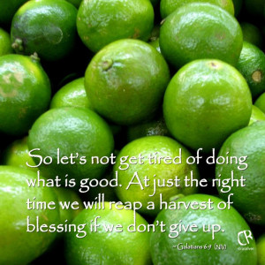 ... time we will reap a harvest of blessing if we don't give up