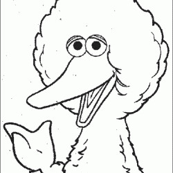 Big Bird Coloring Pages Printable Free