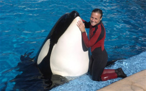 The SeaWorld trainer Dawn Brancheau, pictured in 2005, five years ...