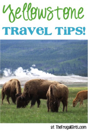 Yellowstone National Park Trip Planner