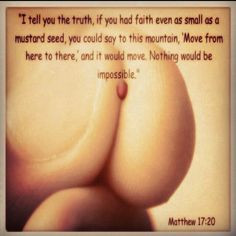 faith of a mustard seed more faith kcm seeds faith faith booster ...