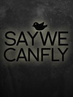 SayWeCanFly logo