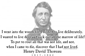 Design #GT66 Henry David Thoreau - I went into the woods