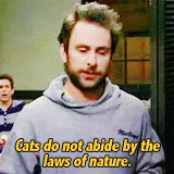 It's Always Sunny's Charlie Kelly Is Still Awesome in Gif Form