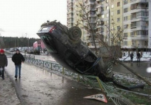 Funny Image Collection