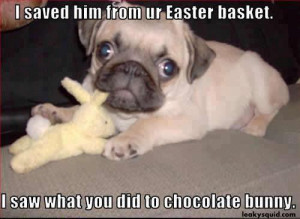 ... him from your Easter basket. I saw what you did to chocolate bunny