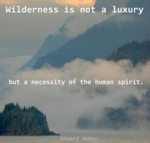 Edward Abbey quote - wilderness