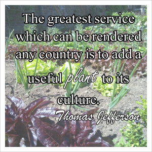 Even if you don’t have a green thumb, this is a garden you can plant ...