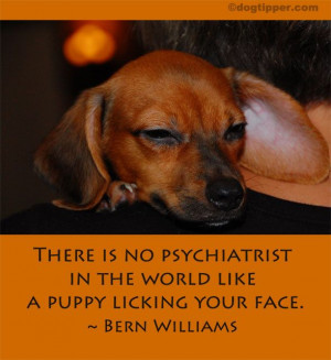 ... dogtipper com dog of day 2012 03 famous dog quote bern williams html