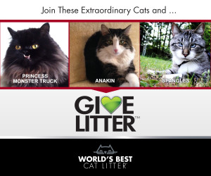 to help cats in need as the latest round of World’s Best Cat Litter ...