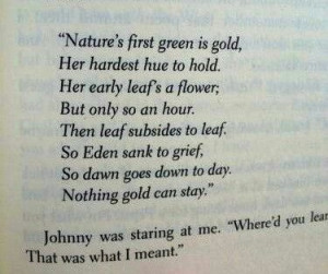 The Outsiders Stay Gold