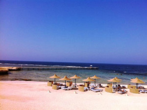 BRAVO CONCORDE MOREEN BEACH