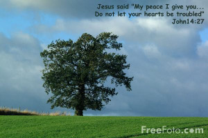 My Peace I give you