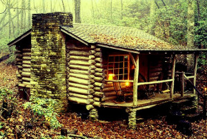 tiny-rustic-cabin-in-the-woods-tiny-house-blog-the-flying-tortoise.jpg