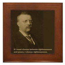 Theodore Roosevelt Quote Framed Tile for