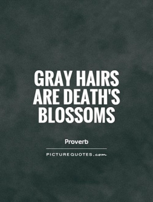 Gray Hair Quotes