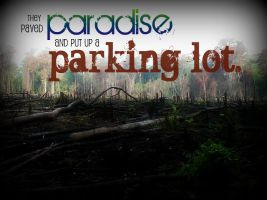 Song Quote - Big Yellow Taxi in Quotes