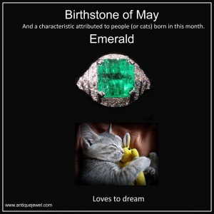 Already have an account? Log in now