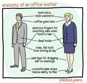 Humor: Anatomy Of An Office Worker