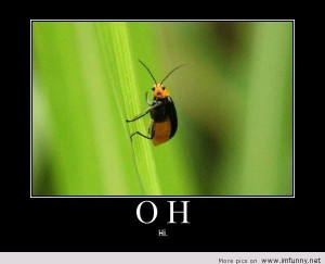 Hi, Mr. Bug!