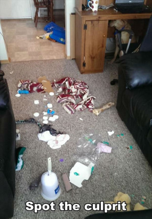 Spot the culprit (I’ll give you a hint… he’s hiding under the ...