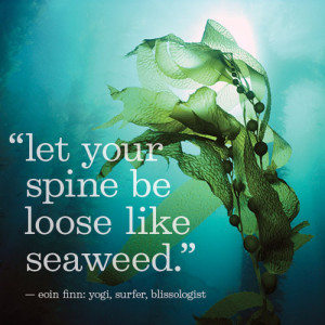 let your spine be loose like seaweed