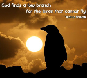 more quotes pictures under worry quotes html code for picture