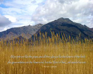 Grasses In The Wind Fine Art Photograph Scripture Landscape by Sindi ...