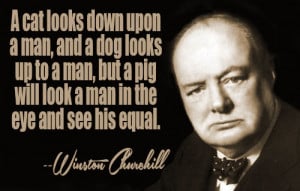 ... quotes by subject browse quotes by author winston churchill quotes ii