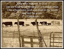 Cow quote #2