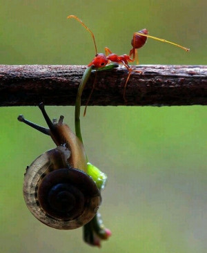 Found on Uploaded by user