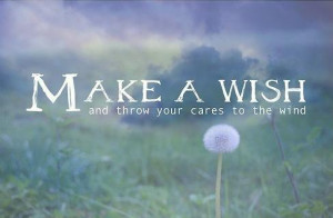 care, cares, dandelium, quote, quotes, text, texts, wind, wish, wishes