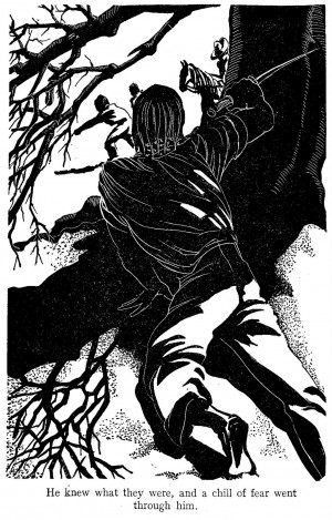 tim wilson nashville